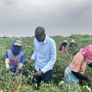 Visite de Wave à la SCL